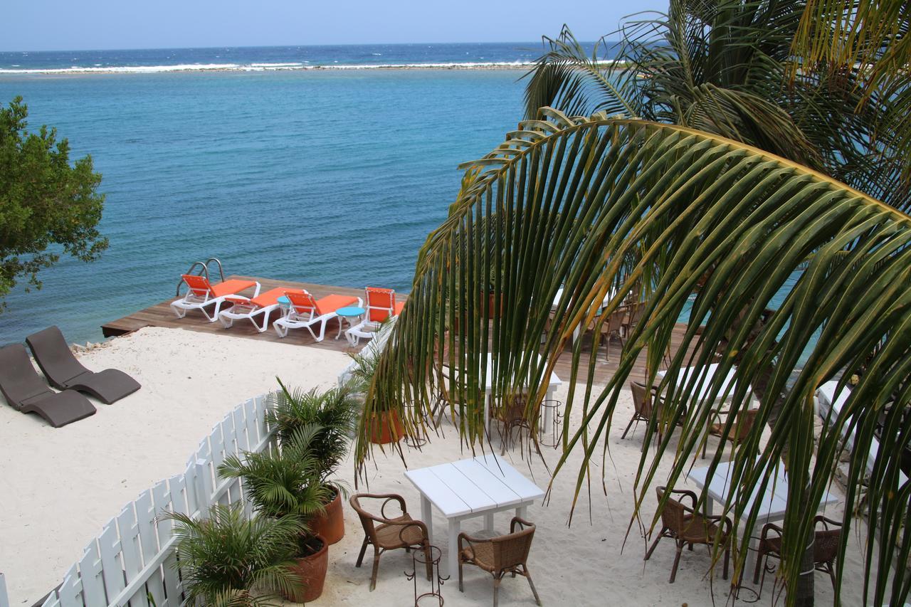 Coral Reef Beach Savaneta Kültér fotó