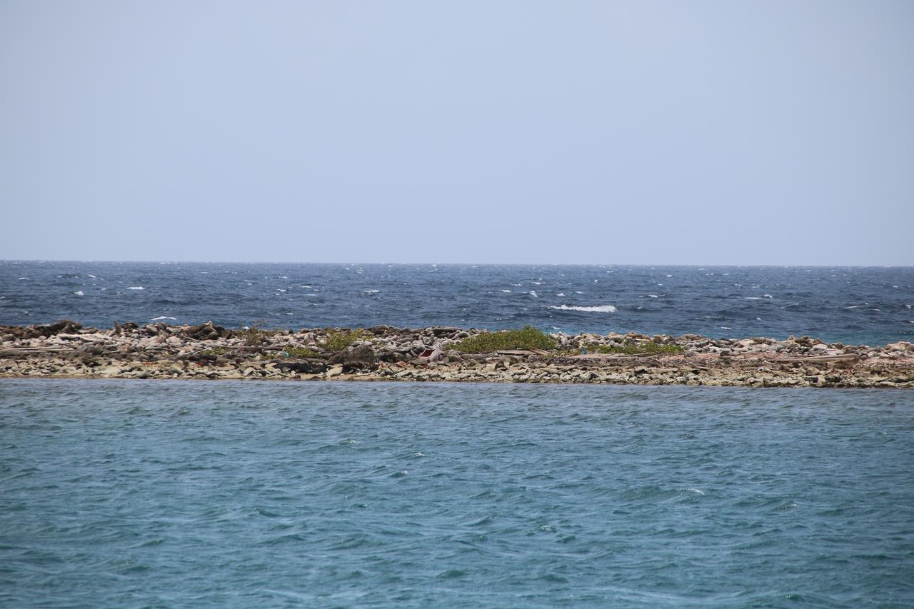 Coral Reef Beach Savaneta Kültér fotó